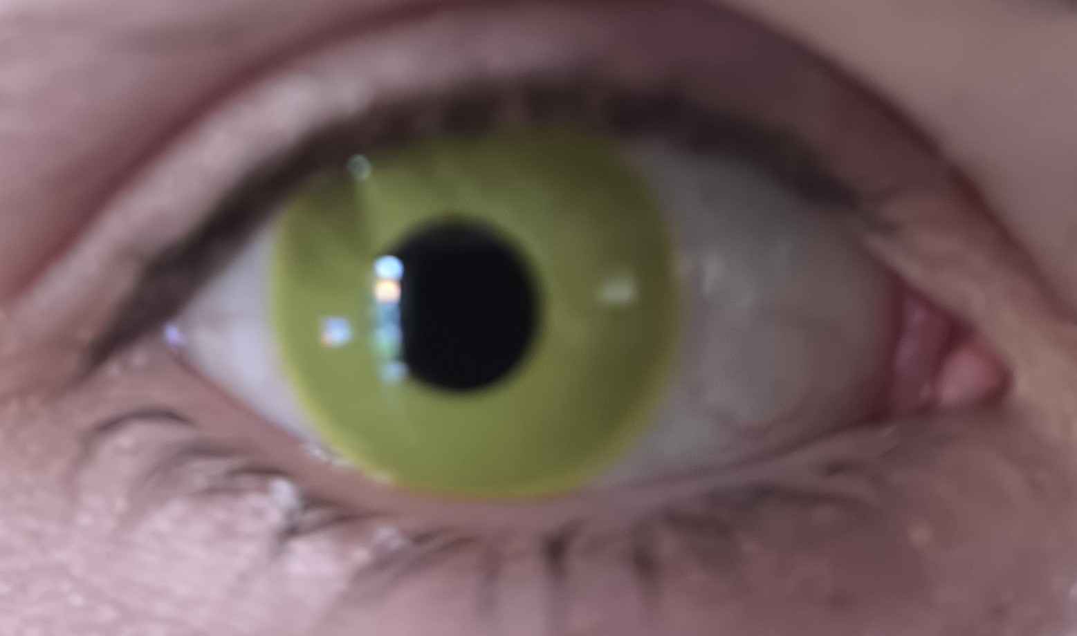 Biosuce