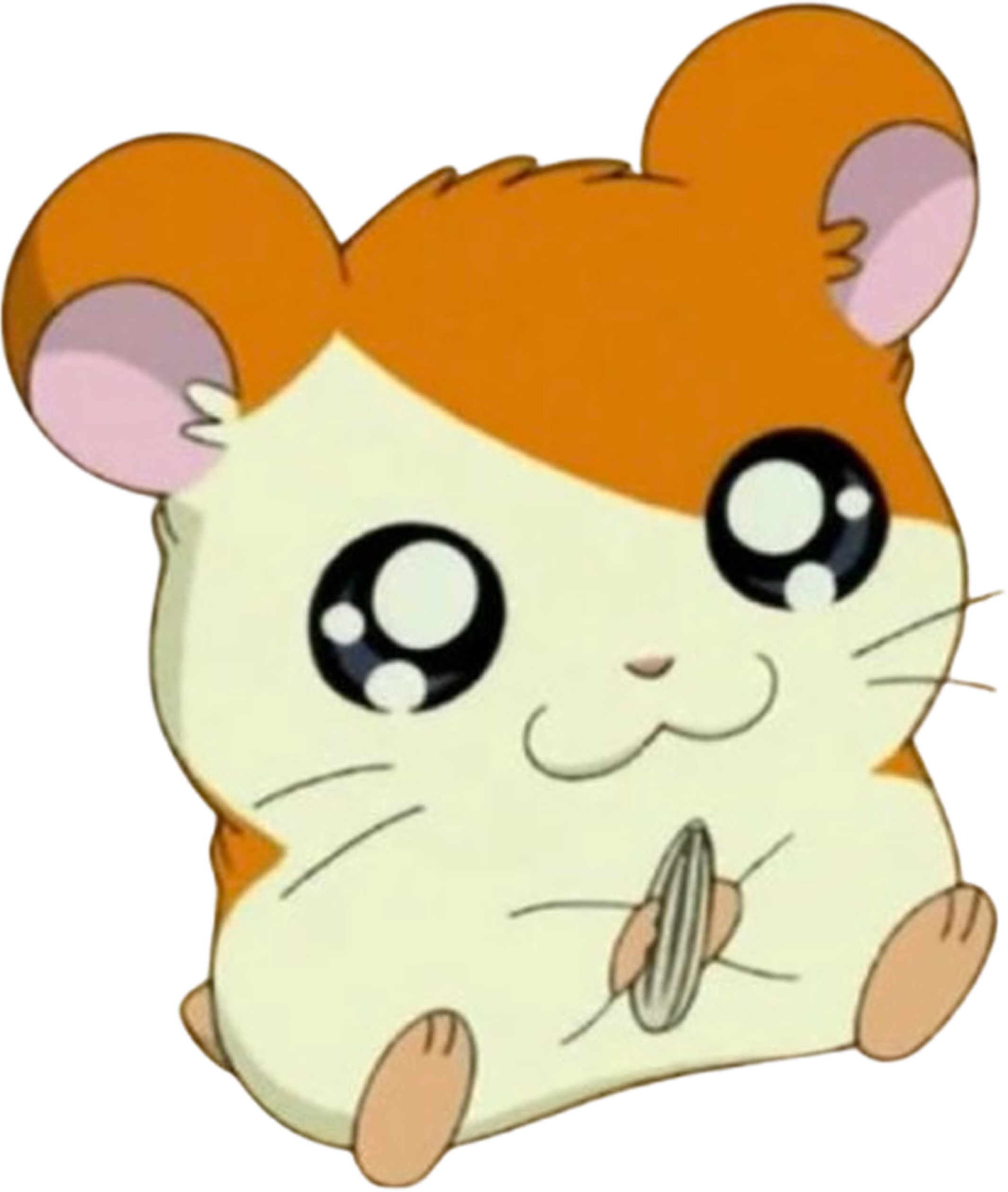 Hamtaro10